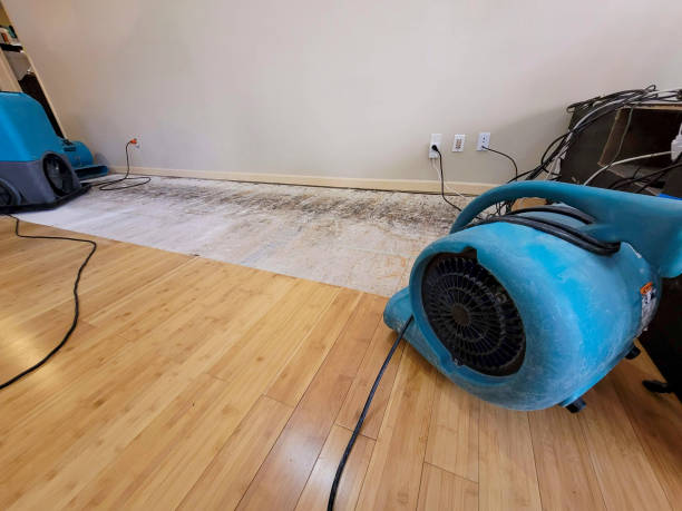 Professional Structural Drying technician working in Defiance, MO